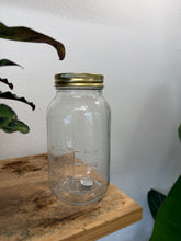 Load image into Gallery viewer, Earth Day Workshop: BYO JAR Terrarium