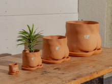 Load image into Gallery viewer, 2.5" mini butt pot