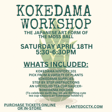 Load image into Gallery viewer, Workshop: Kokedama April 18th