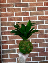 Load image into Gallery viewer, Nov 22nd Workshop: Kokedama- Japanese Moss Ball