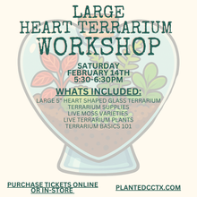 Load image into Gallery viewer, Workshop: Large Heart Terrarium February 14th
