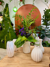 Load image into Gallery viewer, Valentine's Day Propagations & Floral arrangement February 13th