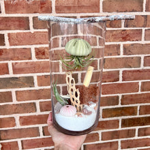 Load image into Gallery viewer, Workshop: Sea Urchin Air Plant Terrarium