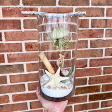Load image into Gallery viewer, Workshop: Sea Urchin Air Plant Terrarium