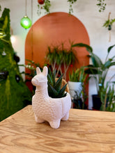 Load image into Gallery viewer, Workshop: Llama Paint & Pot Feb 28th