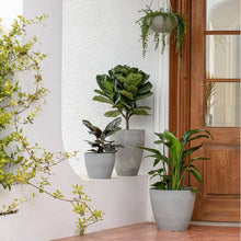 Load image into Gallery viewer, Honeycomb Grey Hanging 10" Pot