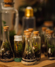 Load image into Gallery viewer, Workshop: TINY Terrariums- ALL DAY- OCT 30/31ST