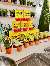 Load image into Gallery viewer, Earth Day Workshop: Bustelo Coffee can Potting (I don't have a Bustelo can)