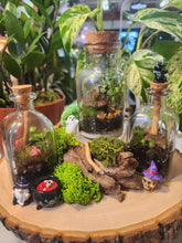 Load image into Gallery viewer, Workshop: Small Potion/Apothecary Terrarium October 10th