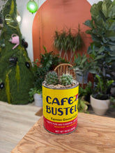 Load image into Gallery viewer, Earth Day Workshop: Bustelo Coffee can Potting (I don't have a Bustelo can)