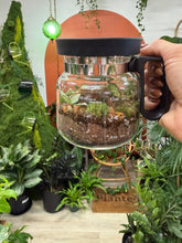 Load image into Gallery viewer, Workshop: Coffee Pot Terrarium June 13th