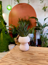 Load image into Gallery viewer, Workshop: Mushroom Paint & Pot Feb 28th