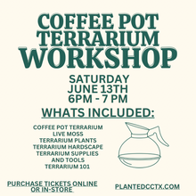 Load image into Gallery viewer, Workshop: Coffee Pot Terrarium June 13th