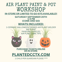Load image into Gallery viewer, Workshop: Air plant Paint & Pot Sept 20th-IN STORE