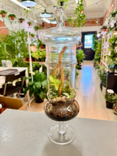 Load image into Gallery viewer, Workshop: Large Apothecary Terrarium September 19th