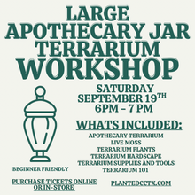 Load image into Gallery viewer, Workshop: Large Apothecary Terrarium September 19th