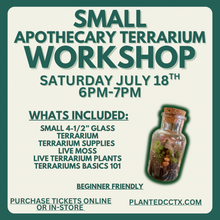 Load image into Gallery viewer, Workshop: Apothecary Terrarium July 18TH