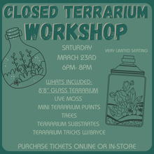 Load image into Gallery viewer, Workshop: Closed Terrarium December 6th