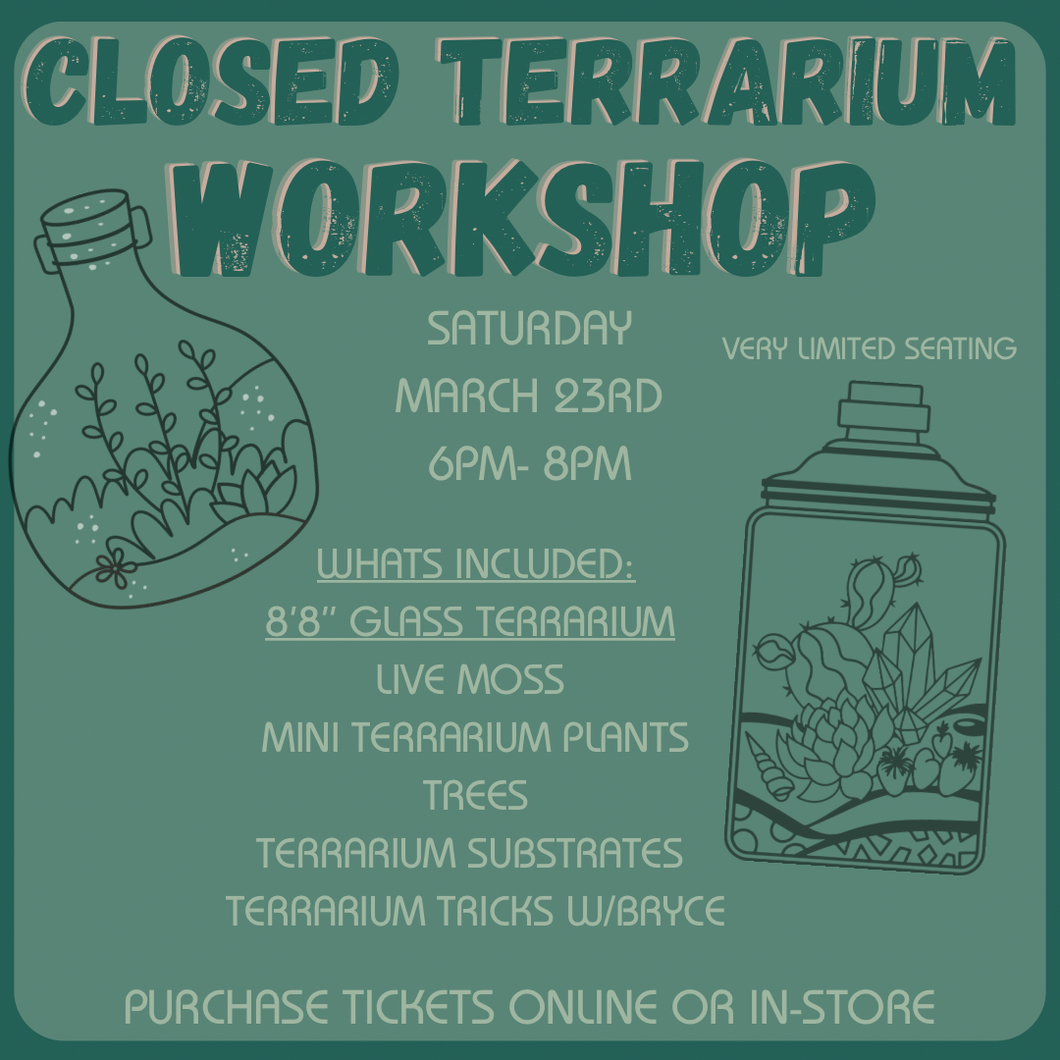 Workshop: Closed Terrarium Forest
