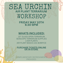 Load image into Gallery viewer, Workshop: Sea Urchin Air Plant Terrarium