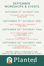 Load image into Gallery viewer, Workshop: Large Apothecary Terrarium September 19th