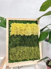 Load image into Gallery viewer, #2 Biophilic Art- Preserved Lichen and Moss 11 x 14 Framed Art
