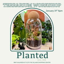 Load image into Gallery viewer, Workshop: Medium Terrarium January 31st