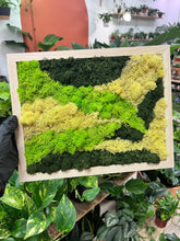 Load image into Gallery viewer, #1 Biophilic Art- Preserved Lichen and Moss 11 x 14 Framed Art
