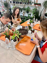 Load image into Gallery viewer, Nov 22nd Workshop: Kokedama- Japanese Moss Ball