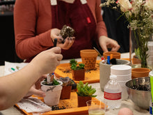 Load image into Gallery viewer, Workshop: Sea Urchin Air Plant Terrarium