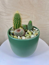 Load image into Gallery viewer, Cactus Arrangement- Small