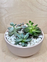 Load image into Gallery viewer, Succulent Arrangement- Large