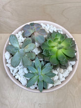 Load image into Gallery viewer, Succulent Arrangement- Large