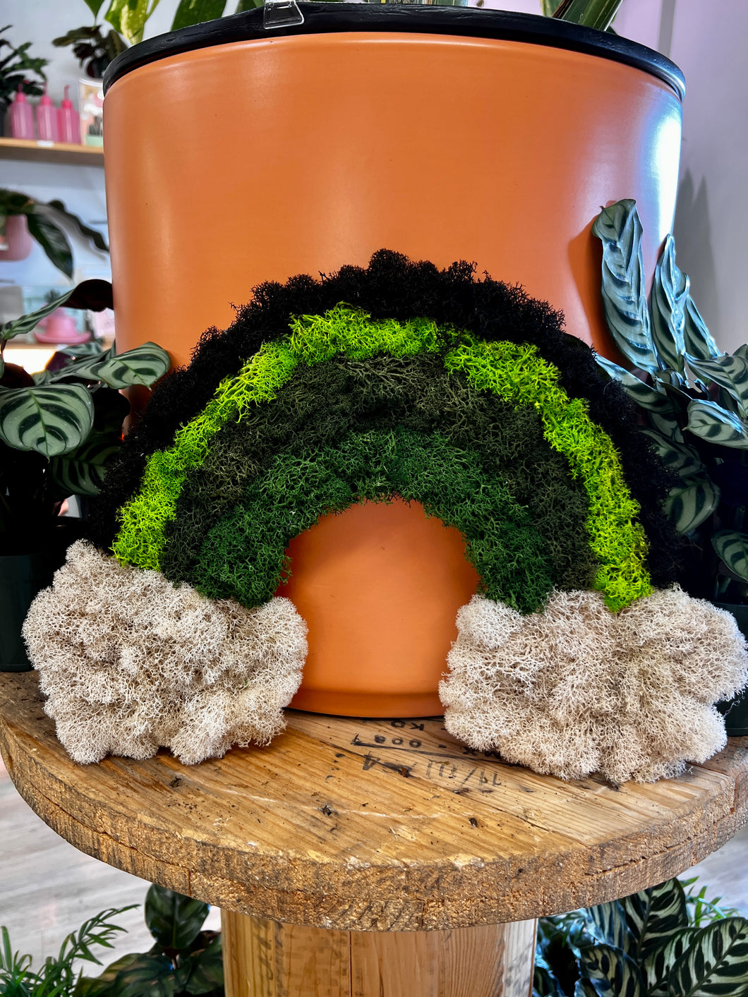 #4 Biophilic Art- Preserved Lichen and Moss Rainbow