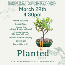 Load image into Gallery viewer, Workshop: Bonsai Potting March 28th

