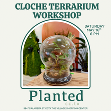 Load image into Gallery viewer, Workshop: Cloche Terrarium May 16th
