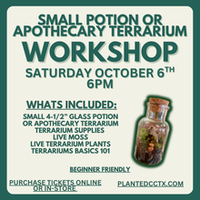 Load image into Gallery viewer, Workshop: Small Potion/Apothecary Terrarium October 10th
