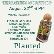Load image into Gallery viewer, Workshop: Medium Cork Ball Terrarium August 22nd
