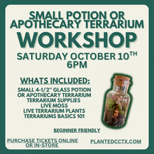 Load image into Gallery viewer, Workshop: Small Potion/Apothecary Terrarium October 10th
