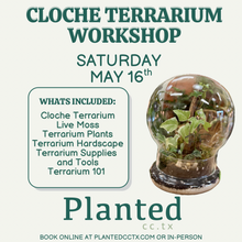 Load image into Gallery viewer, Workshop: Cloche Terrarium May 16th

