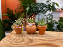 Load image into Gallery viewer, Yaps &amp; Yoga-Plant social October 26th
