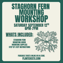 Load image into Gallery viewer, Workshop: Staghorn Fern Mounting September 12th
