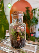 Load image into Gallery viewer, Workshop: Apothecary Terrarium June 20th
