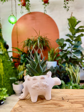 Load image into Gallery viewer, Workshop: Dinosaur Paint &amp; Pot
