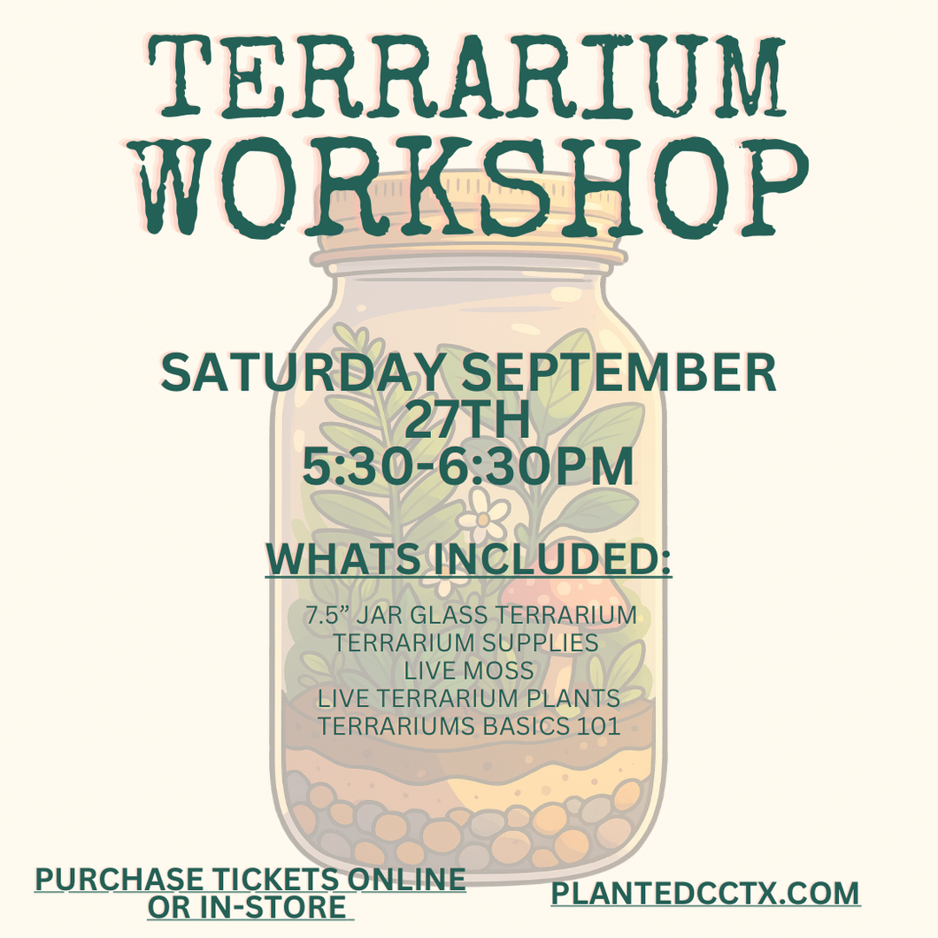 Workshop: Jar Terrarium September 27th