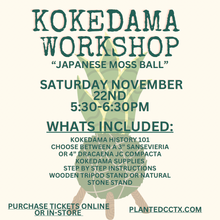 Load image into Gallery viewer, Nov 22nd Workshop: Kokedama- Japanese Moss Ball
