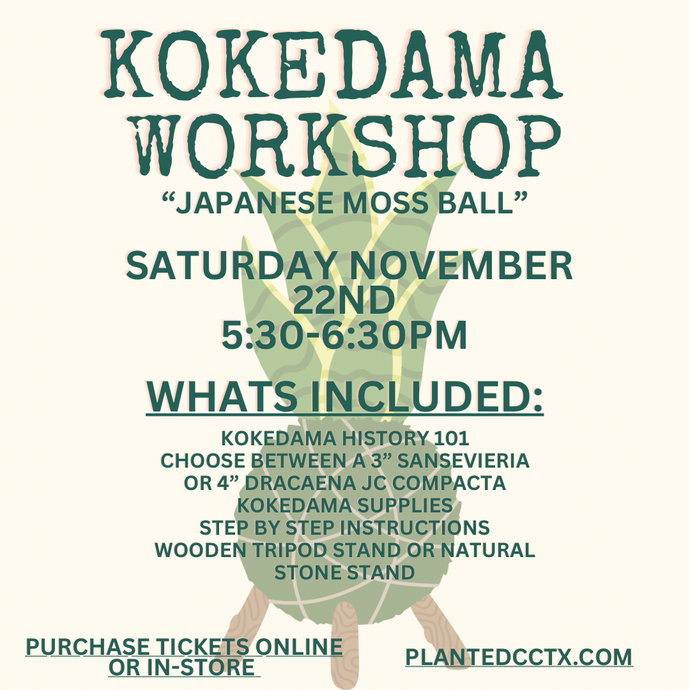 Nov 22nd Workshop: Kokedama- Japanese Moss Ball