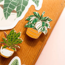 Load image into Gallery viewer, Prayer Plant Rattlesnake Plant Enamel Pin
