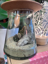 Load image into Gallery viewer, UFO Terrarium- Desertscape
