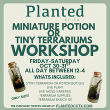Load image into Gallery viewer, Workshop: TINY Terrariums- ALL DAY- OCT 30/31ST
